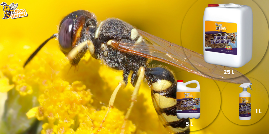 Procurando um tratamento anti-Vespões e vespas? Stop Hornet é a solução para o seu problema.