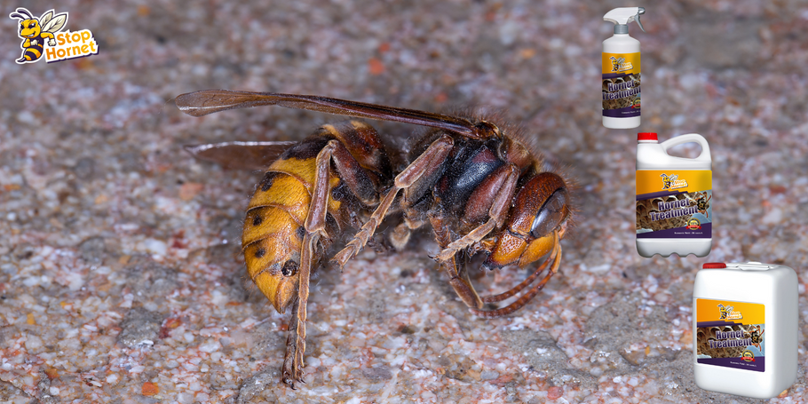Quanto tempo leva para o tratamento anti-vespões e vespas fazer efeito?