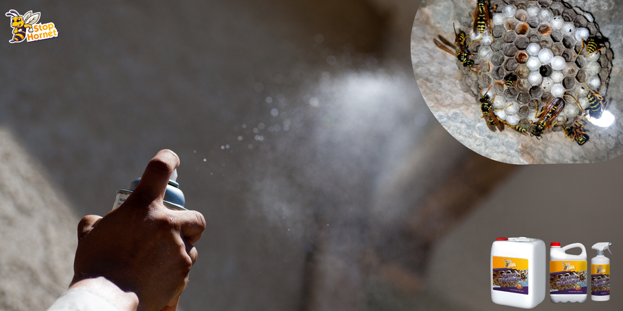 Duração eficaz do tratamento anti-vespões e vespas: tudo o que você precisa saber.