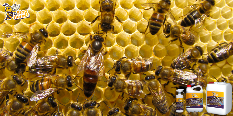 O produto anti-vespões e vespas pode ser usado perto de colmeias ou colônias de abelhas?