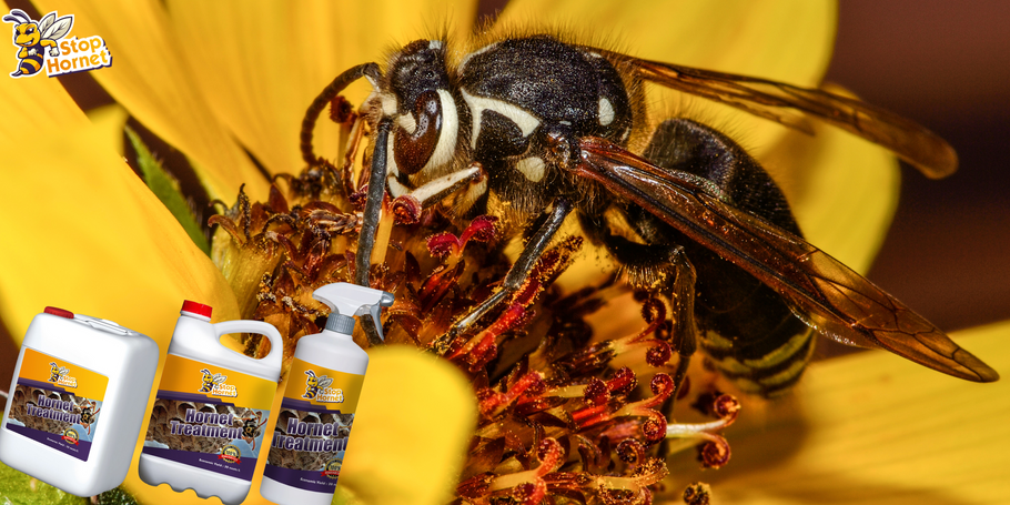Como o produto vespões e vespas Control se compara a outros métodos de tratamento?